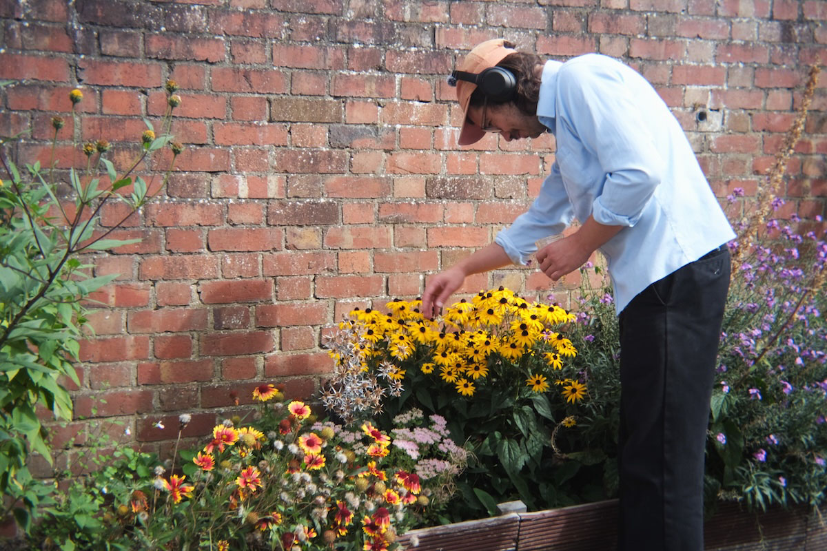 ANA – Active Noise Augmentation