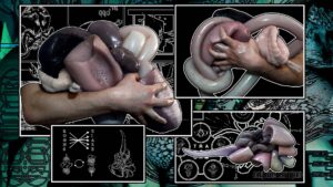 Hermaphrogenesis