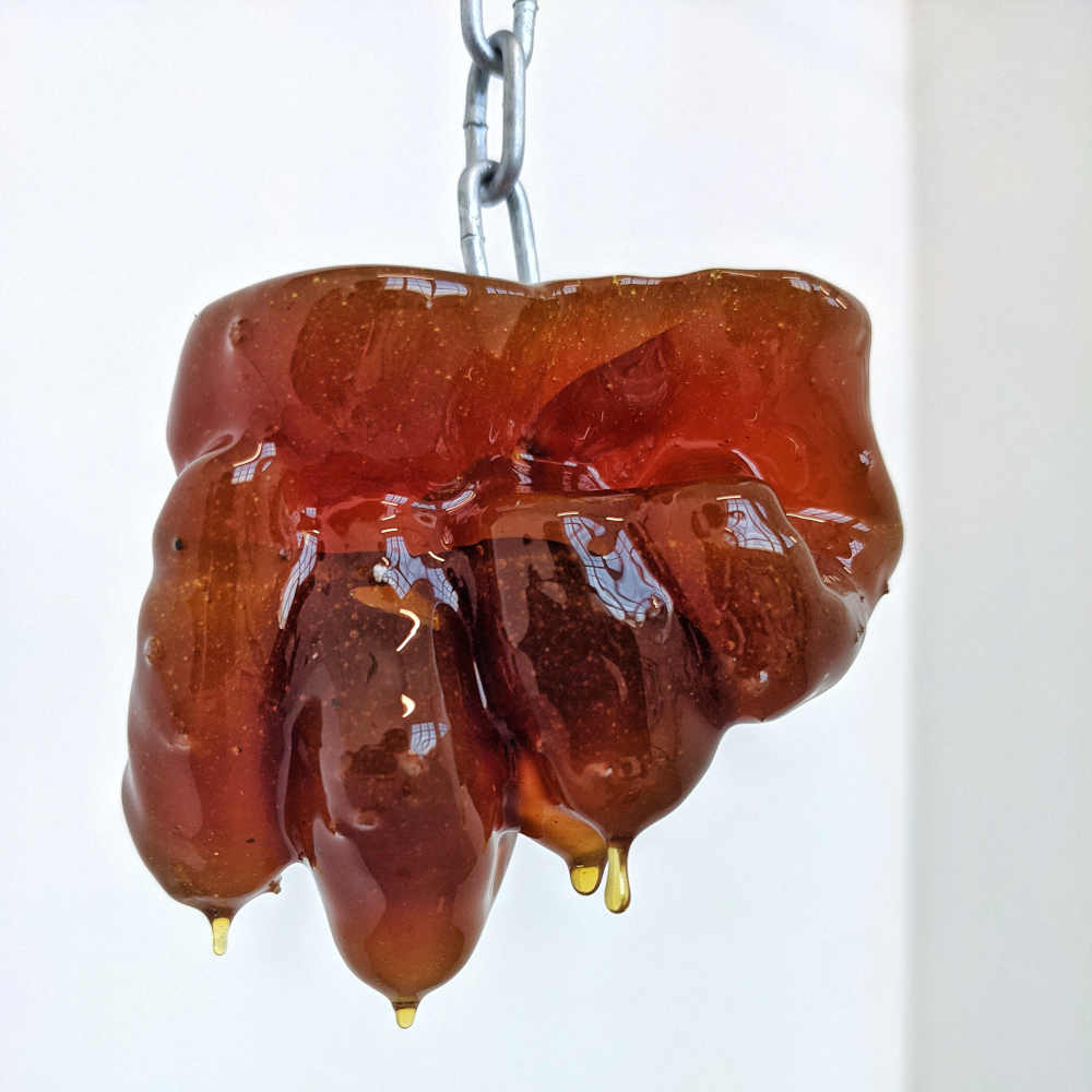 Sweet Meat