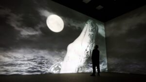 Frameless Premieres The Whale