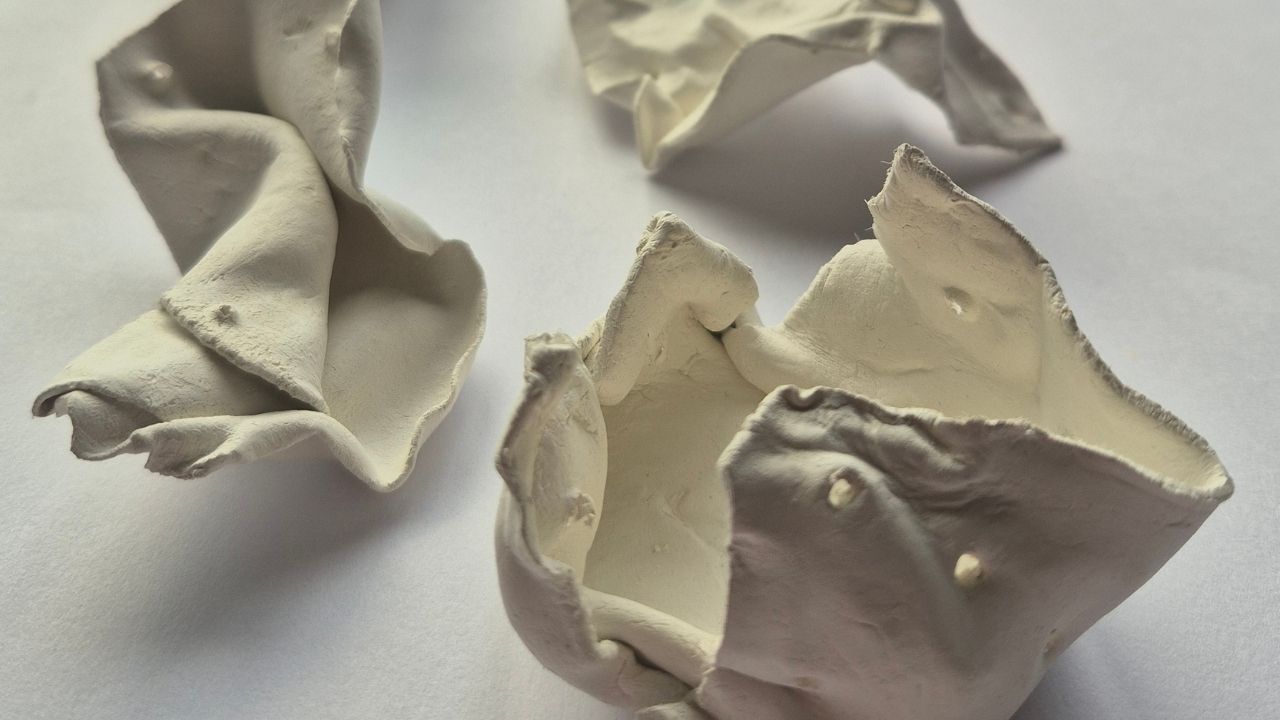Abstract clay sculptures on a white surface, featuring soft, organic folds and curves that evoke a sense of movement and fluidity.