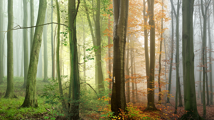 Dissolving Time Through 360° Video