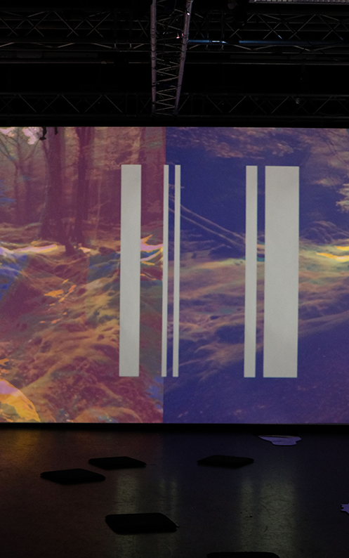 Immersive room with forest projections on three walls, featuring abstract vertical white bars. Soft lighting evokes a serene, dreamlike atmosphere.