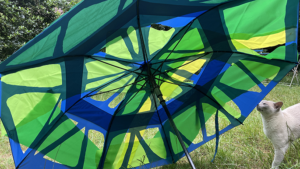 Spring Simulator