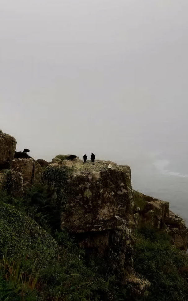 a scenic landscape of a cliffside looking out into the sea, a few people stand on the edge in the distance, it looks cinematic.