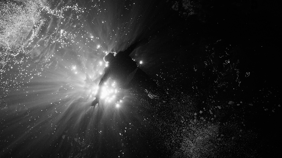 Listening for the New Dawn