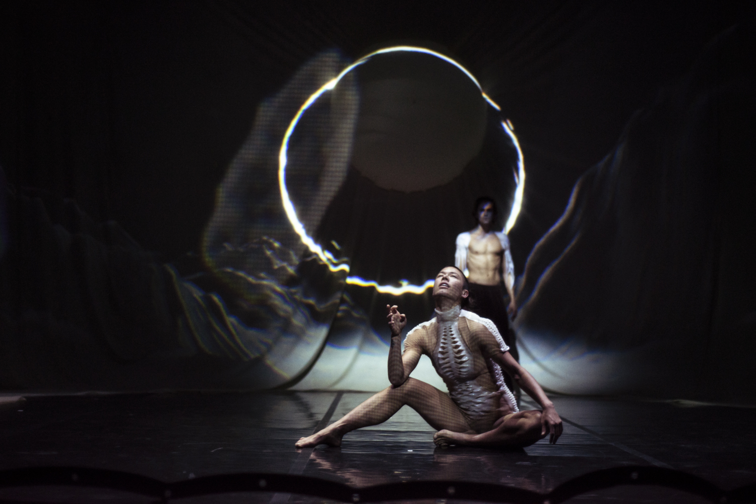 Peter and the Wolf AR (PAW)