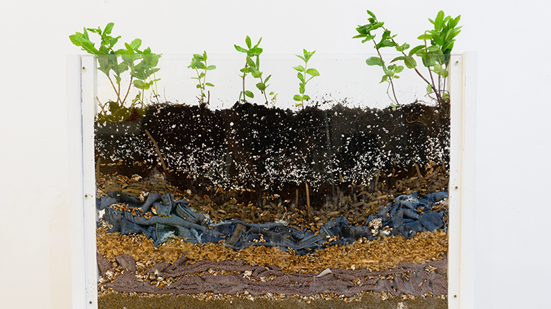 Join the Myco Revolution