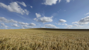 Breathe: Sound and Stillness