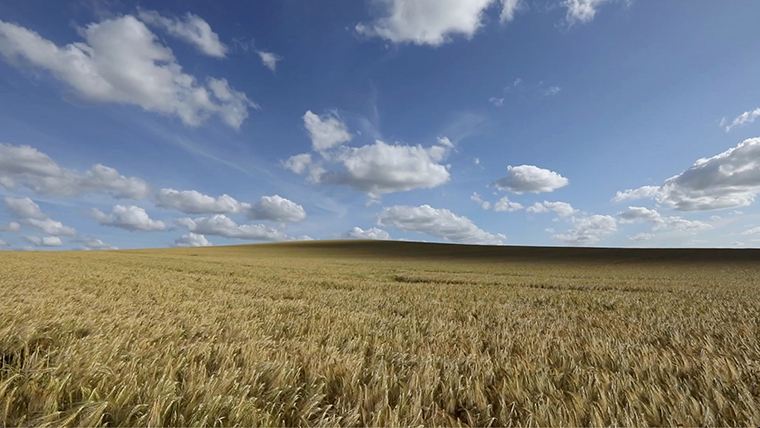 Breathe: Sound and Stillness