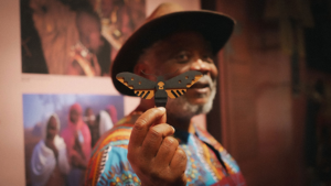 Wild Wings of Hope